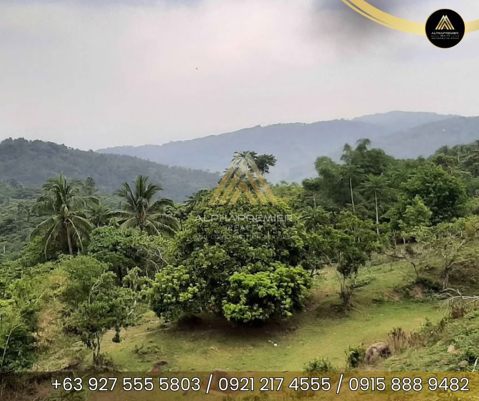 Lot for Sale in Tanay, photo 1
