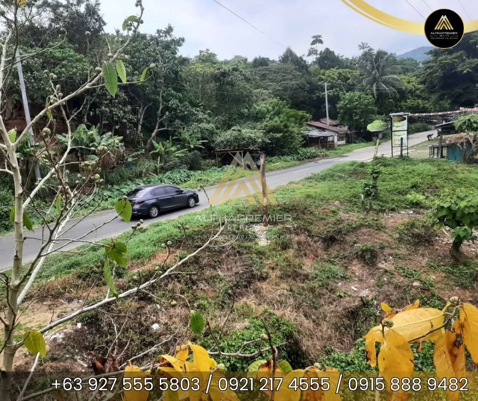 Lot for Sale in Tanay, photo 6