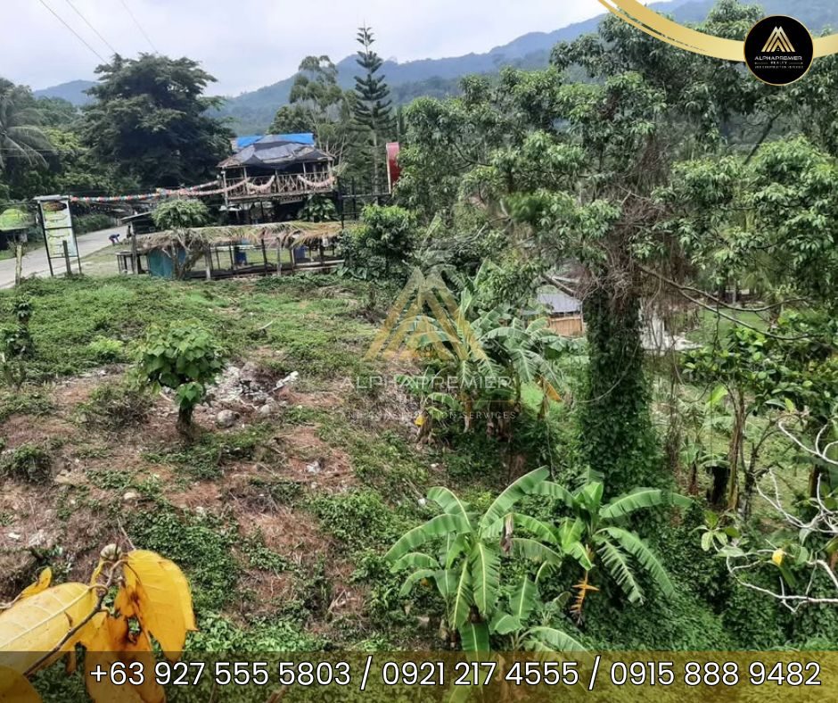 Lot for Sale in Tanay, photo 7