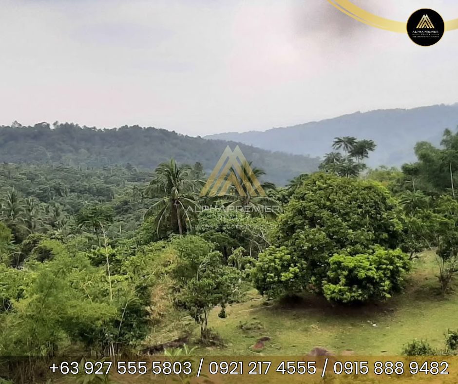 Lot for Sale in Tanay, photo 8