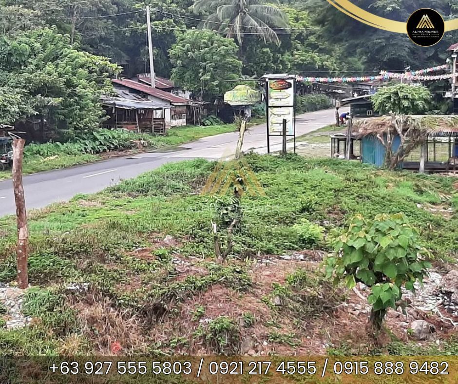 Lot for Sale in Tanay, photo 3