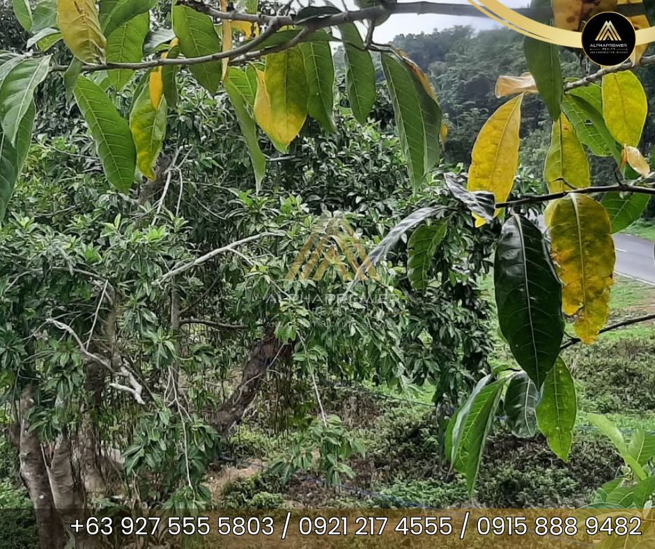 Lot for Sale in Tanay, photo 9
