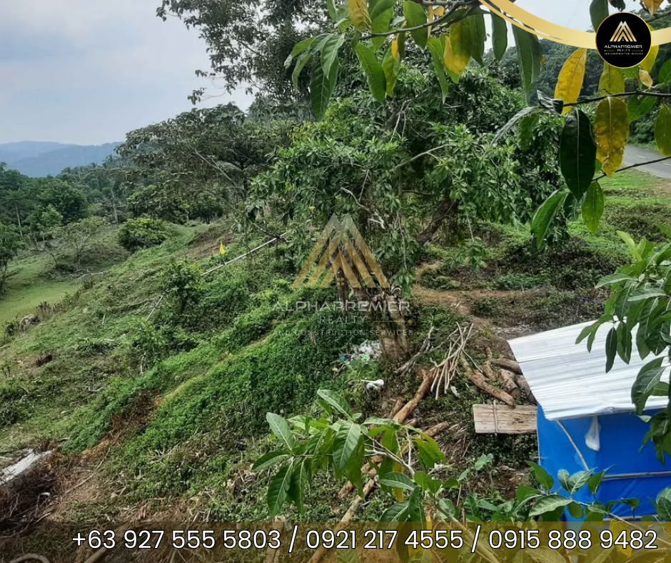 Lot for Sale in Tanay, photo 4