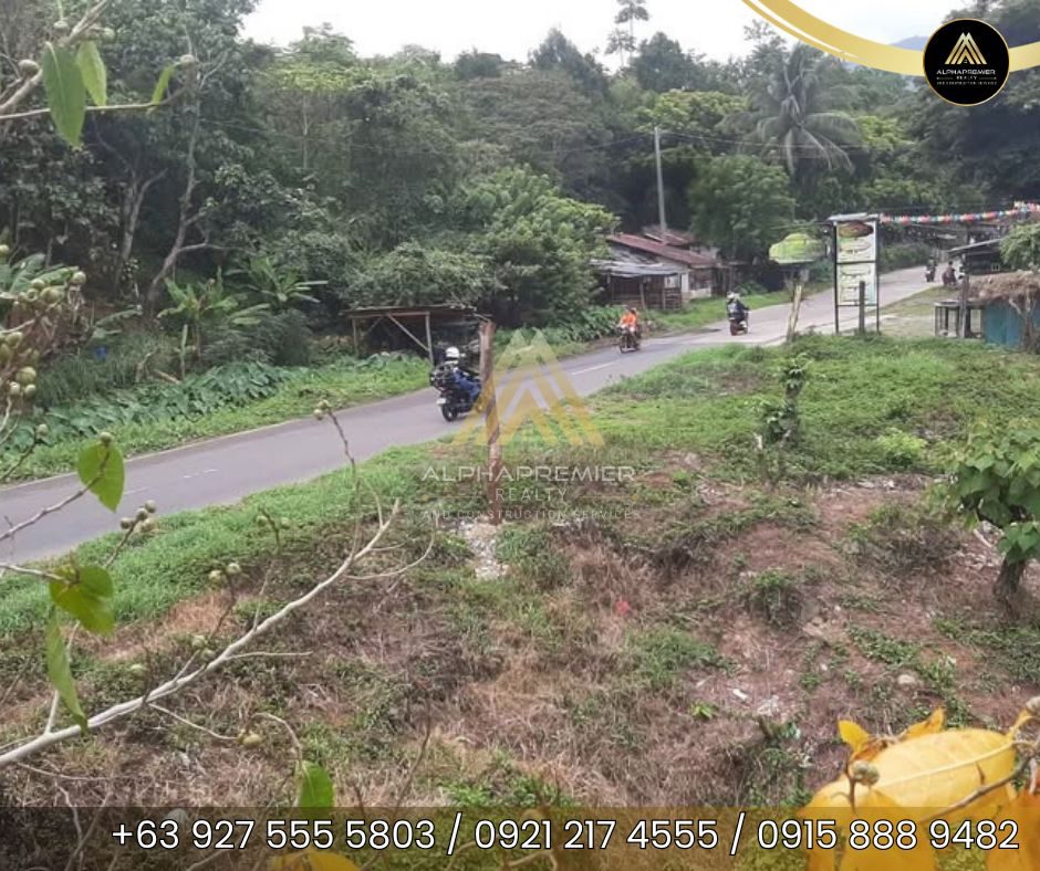 Lot for Sale in Tanay, photo 2