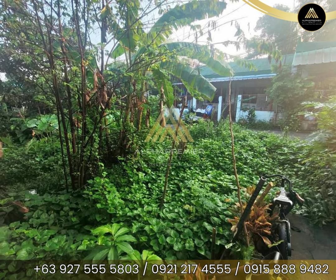 Lot for Lease in Bulacan, photo 3