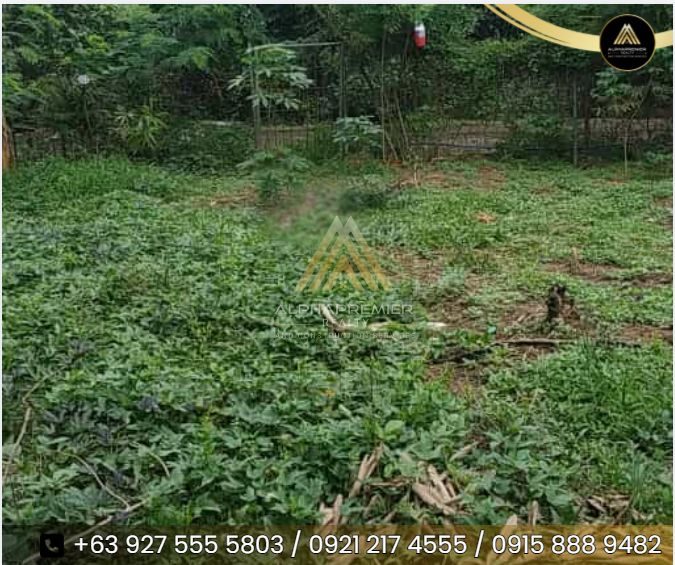 Lot for Lease in Bulacan 300, photo 1