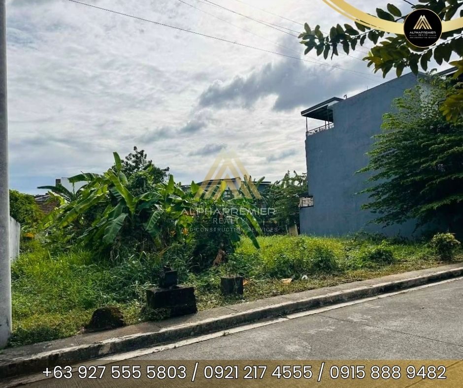 Lot for Sale in Taytay/Cainta, photo 3