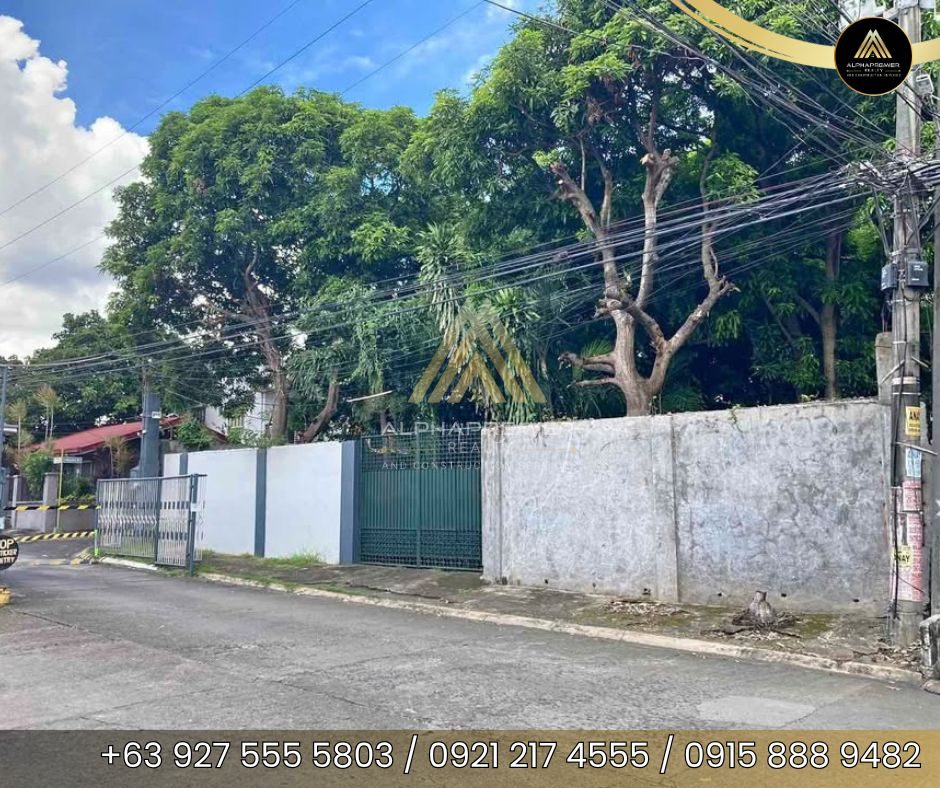 Lot for Lease in San Pedro City, photo 2