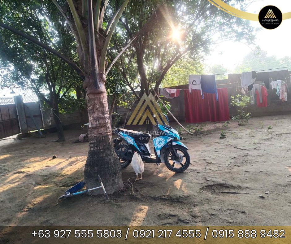 Lot for Sale in Arayat, photo 5