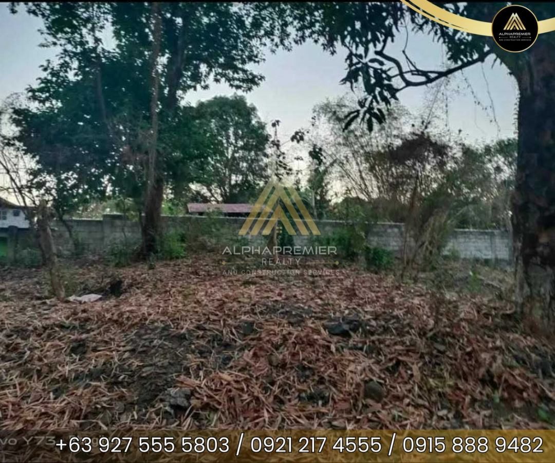 Lot for Sale in Rizal, photo 2