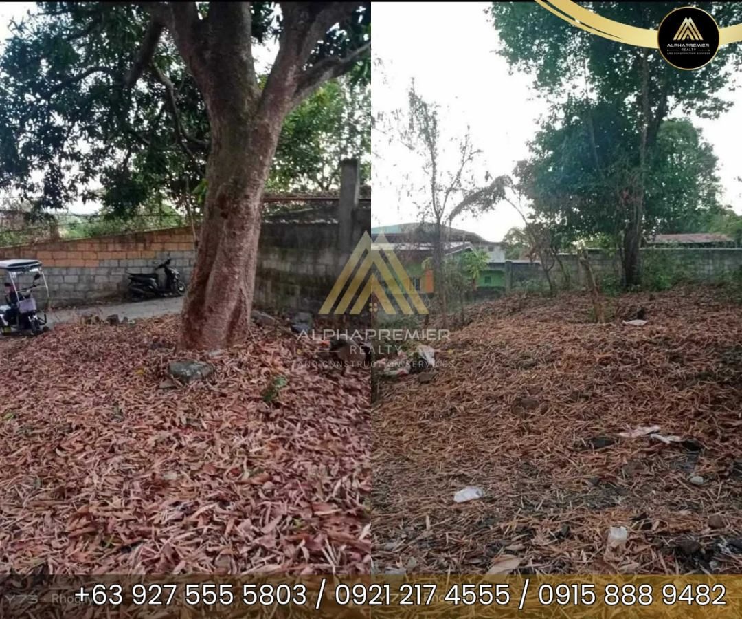 Lot for Sale in Rizal, photo 1