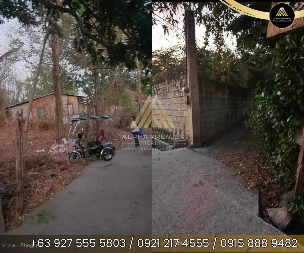 Lot for Sale in Rizal, photo 4