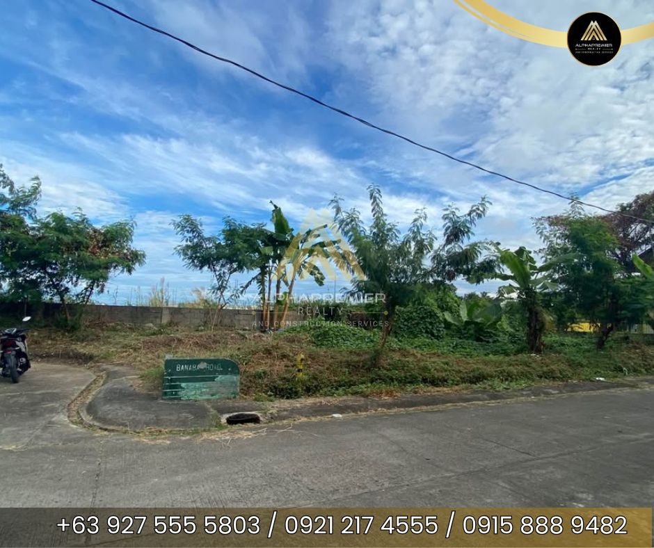 Lot for Sale in Bulacan, photo 4