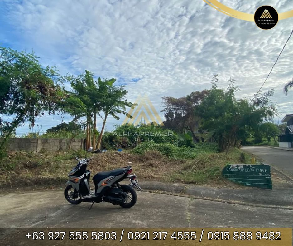 Lot for Sale in Bulacan, photo 3