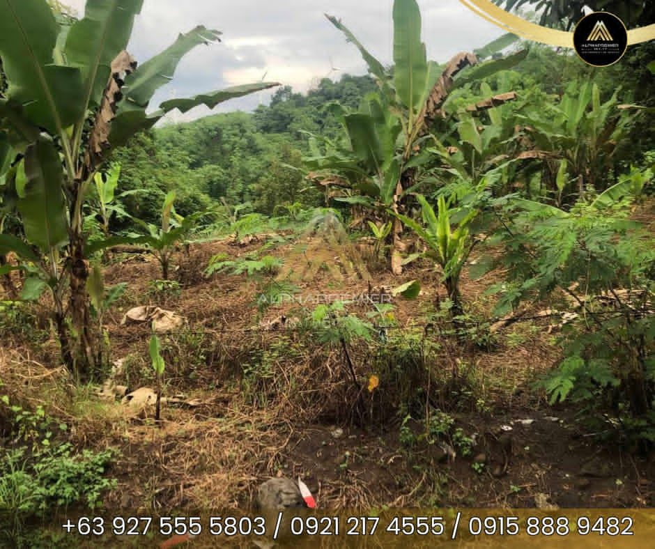 Lot for Lease in Pililla, photo 3