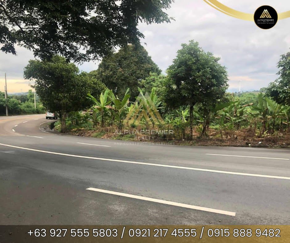 Lot for Lease in Pililla, photo 1