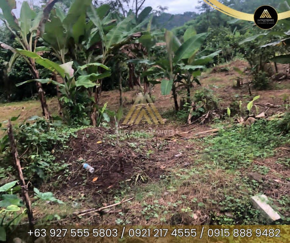 Lot for Lease in Pililla, photo 2