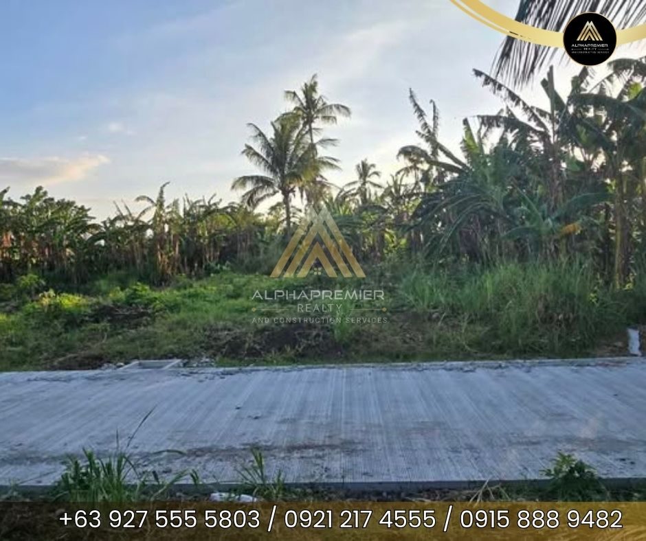 Lot for Sale in Cavite, photo 1