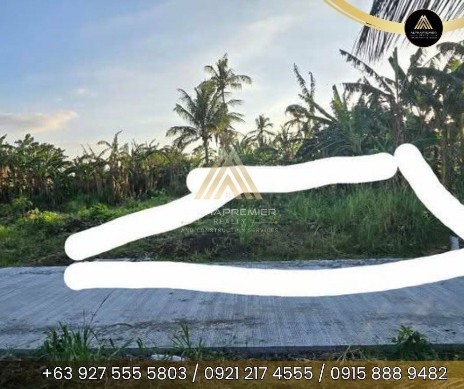 Lot for Sale in Cavite, photo 2