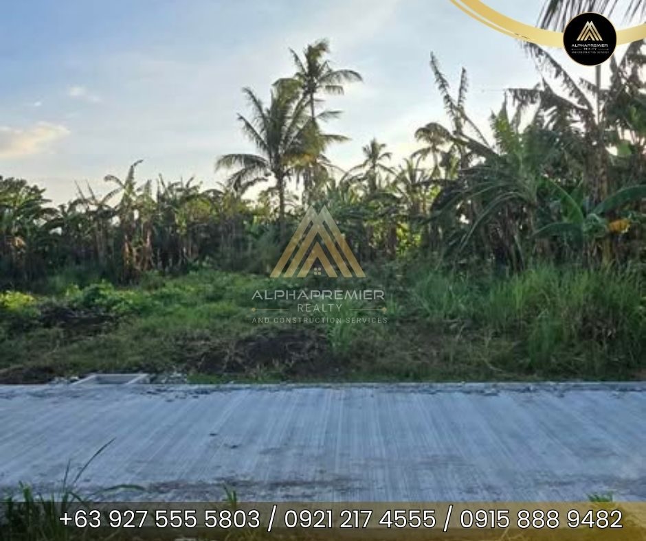 Lot for Sale in Cavite, photo 3