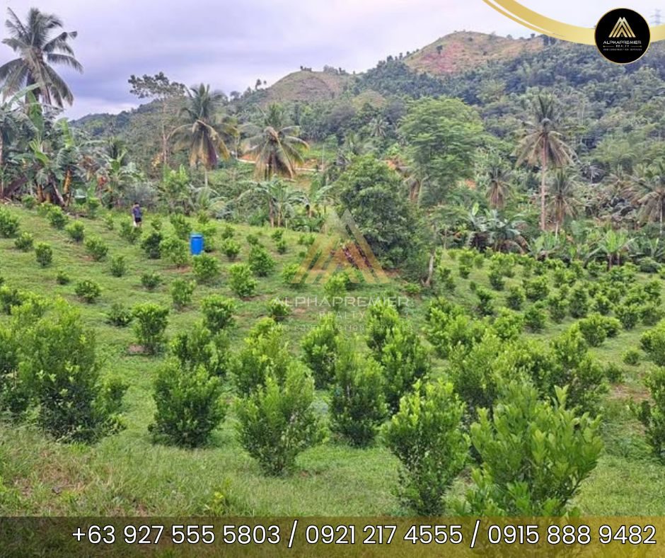 Lot for Sale in Naga City, photo 1