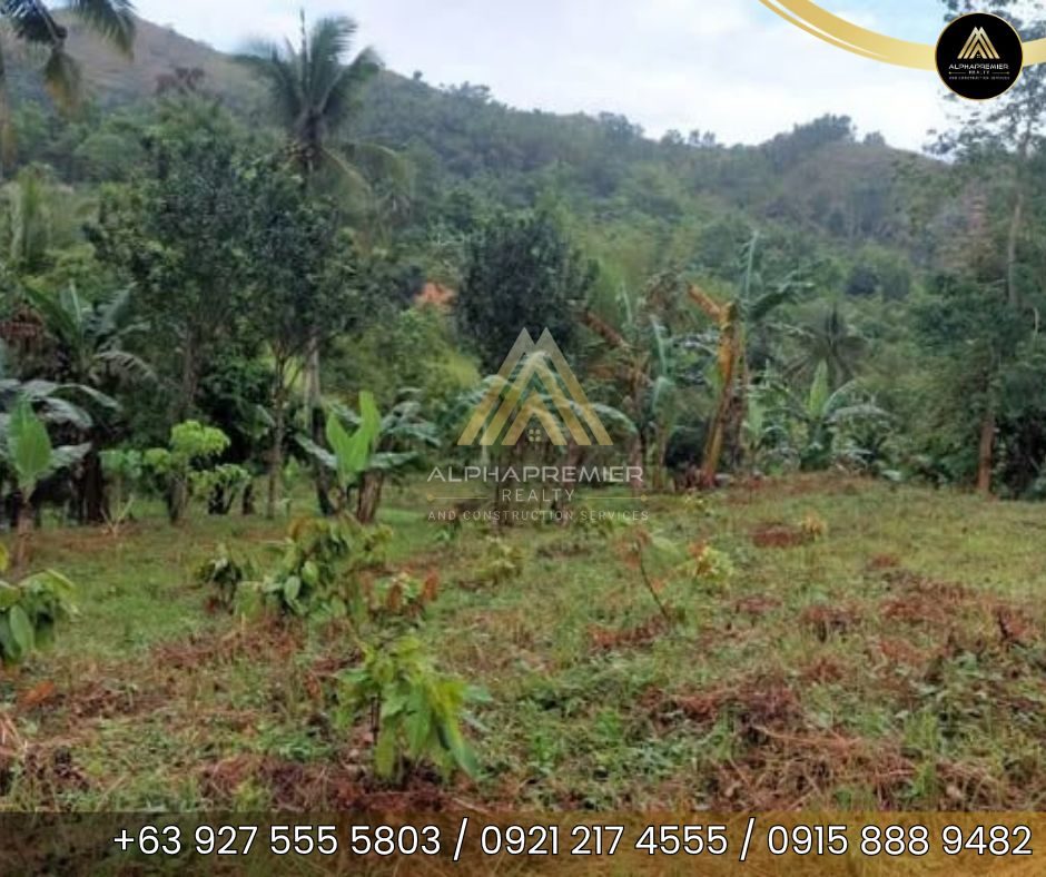 Lot for Sale in Naga City, photo 8