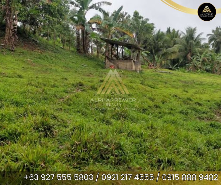 Lot for Sale in Naga City, photo 7