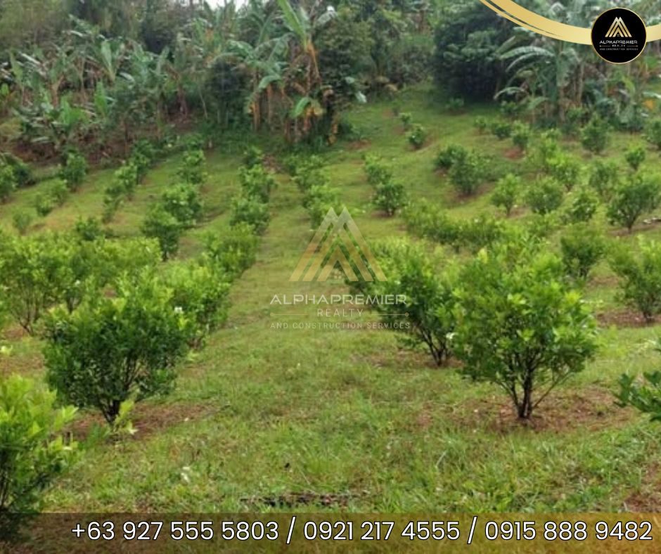 Lot for Sale in Naga City, photo 2