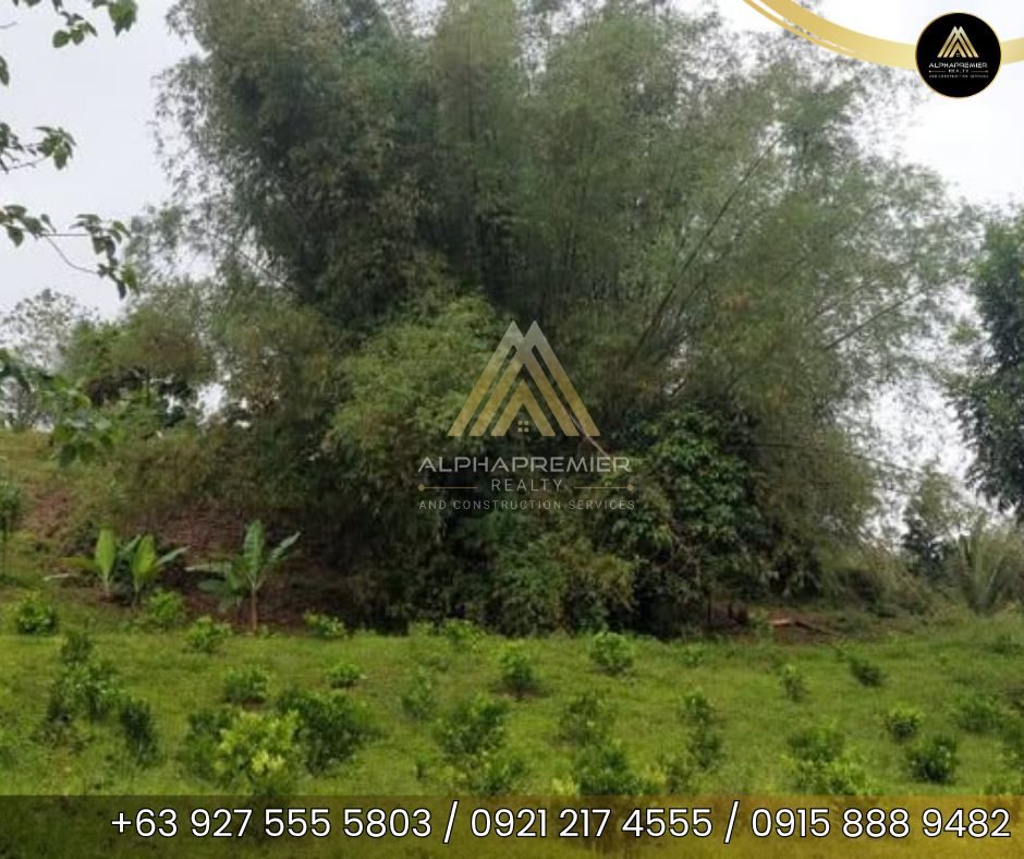 Lot for Sale in Naga City, photo 5
