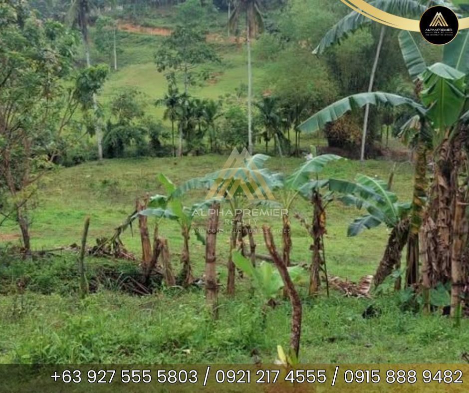 Lot for Sale in Naga City, photo 10