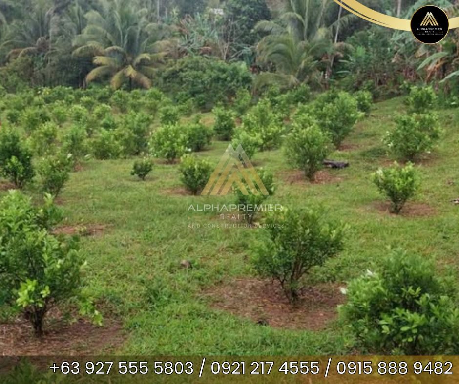 Lot for Sale in Naga City, photo 3
