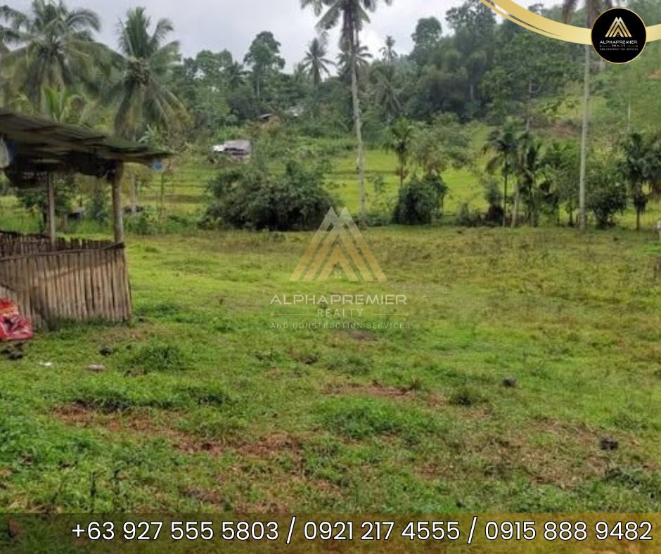 Lot for Sale in Naga City, photo 6