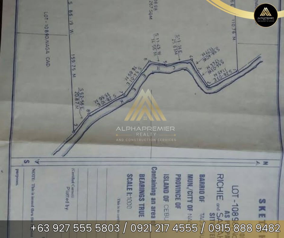 Lot for Sale in Naga City, photo 11